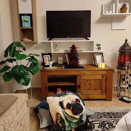 Mon Repos Paleopolis Cosy Apartment Corfu  Exteriör bild